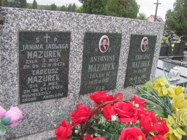 Tadeusz Mazurek  Biłgoraj - Grobonet - Wyszukiwarka osób pochowanych