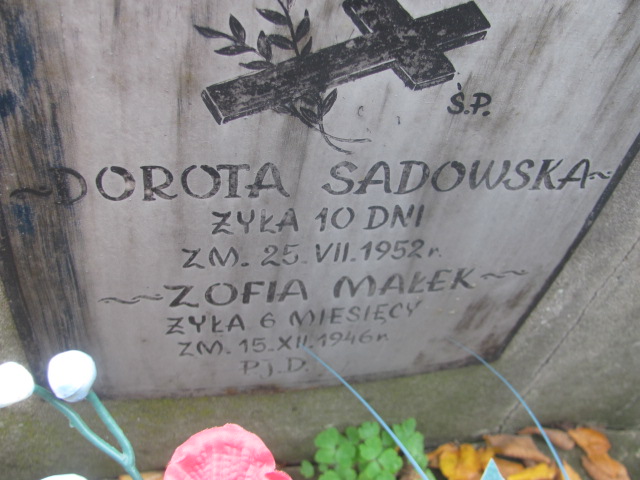 Zofia Małek Biłgoraj - Grobonet - Wyszukiwarka osób pochowanych