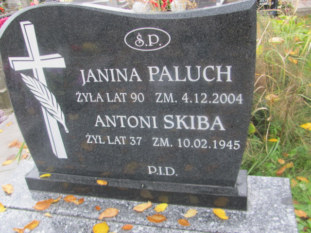 Antoni Skiba  Biłgoraj - Grobonet - Wyszukiwarka osób pochowanych