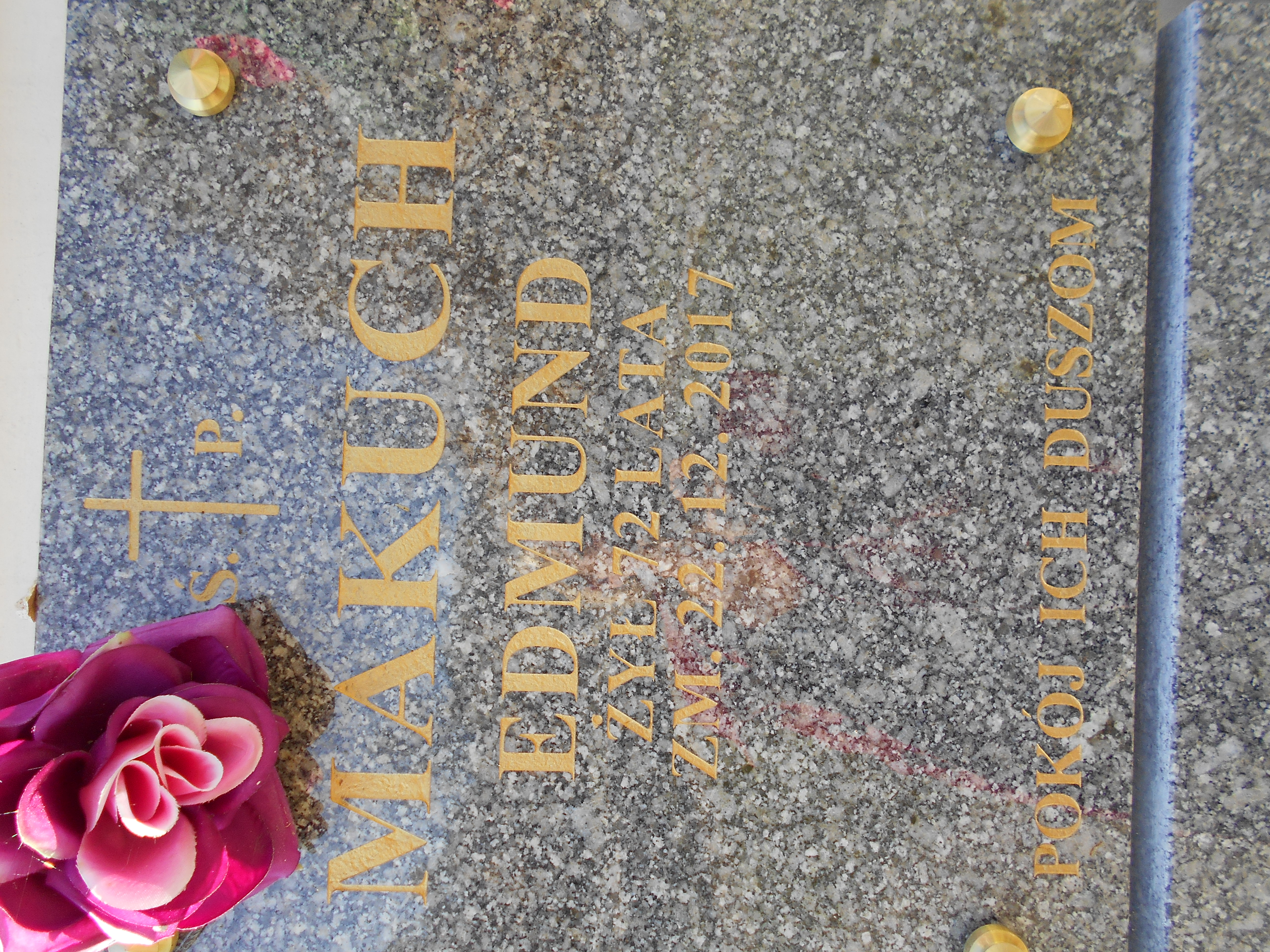 Edmund Makuch 1945 Biłgoraj - Grobonet - Wyszukiwarka osób pochowanych